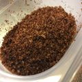 つっちゃん五段's cooksnap of when they made だしがら おかかふりかけ.