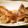 クックVNSB48☆'s cooksnap of when they made 超簡単！鶏もも肉の塩焼き.