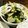♪快適一人暮らし♪'s cooksnap of when they made 白菜と塩昆布の浅漬け☆.
