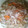クックOYTSP1☆'s cooksnap of when they made 簡単☆保育園の豚汁.