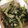 aimy_nh's cooksnap of when they made 簡単☆鶏もも肉とセロリのごま油炒め.