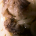 u_mi_n's cooksnap of when they made ☆簡単☆炊飯器で牛スジとこんにゃくの煮込.