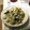 クック7MM71G☆'s cooksnap of when they made エリンギとレタスの炒め物.