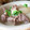 おしす's cooksnap of when they made 牛すじ肉と大根のあっさりスープ煮.