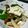 cocoroの扉's cooksnap of when they made おくらと湯葉のおひたし.