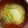 M130018's cooksnap of when they made Ｍ味噌汁（蕪と厚揚げ）.