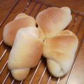 コーヒーたん's cooksnap of when they made バターロール.