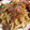 そうまママ☆'s cooksnap of when they made ダシが決め手の焼うどん.