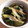 ＊さらん＊'s cooksnap of when they made きゅうりとみょうがの和え物.