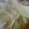 ＳＡＫＵＲＡちゃん's cooksnap of when they made ダイエット★キャベツスープ.