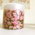 ぷーかあさん's cooksnap of when they made 初めてでも綺麗にできる「桜の塩漬け」.