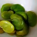 双子っこ☆'s cooksnap of when they made 覚えておこう！　　そら豆のゆで方.