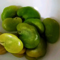双子っこ☆'s cooksnap of when they made 覚えておこう！　　そら豆のゆで方.