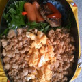 ３１０ko's cooksnap of when they made 簡単！そぼろさん.