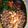 ３１０ko's cooksnap of when they made 簡単！そぼろさん.