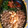 ３１０ko's cooksnap of when they made 簡単！そぼろさん.