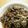 mayjinras's cooksnap of when they made 牛肉とえのきのオイスターソース炒め.