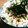 サオ食堂's cooksnap of when they made ササミの梅マヨとろろ丼.