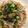K6o2B8a's cooksnap of when they made 麺つゆで簡単♪夏野菜のダシ.