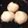 女帝蜂蜜✨料理研究所's cooksnap of when they made インド（ベンガル）のお菓子☆ラスグッラ.