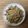かおり♡♡♡'s cooksnap of when they made エリンギの味噌漬け.