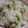 まゅ＠たん's cooksnap of when they made 枝豆ごはん.