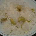 ☆baobab☆'s cooksnap of when they made 秘伝豆(青大豆)の炊き込みご飯.