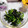 リン・ミンメイ's cooksnap of when they made 青菜ののり和え.