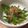 Floren623's cooksnap of when they made 簡単ピーマンのめんつゆ和え.