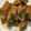 クックRJJ7XY☆'s cooksnap of when they made 豚肉巻き　ごぼう　いんげん　ニンジン.