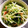 J_son's cooksnap of when they made あと一品に♪水菜とカニカマのマヨ浸し.