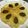 ジョングレ's cooksnap of when they made 授乳期のおやつ♬おからスコーン覚書.