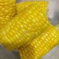 チビねこ12's cooksnap of when they made 茹でトウモロコシ.