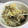ゆきんぐりる's cooksnap of when they made 【龍愛】えのきともやしのたまご炒め.