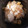Ipong's cooksnap of when they made 白菜の生姜醤油和え.