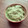 ダッフィ3216's cooksnap of when they made 硬いアボカドをやわらかくする方法.