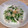 youheino's cooksnap of when they made 豆苗ときのこのおろし和え.