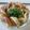 cookjun★'s cooksnap of when they made ボリューム満点☆パリッと餃子焼きそば.