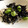しーちゃん104's cooksnap of when they made ⁑ひじきとオクラと枝豆のマヨサラダ⁑.