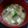 4double5's cooksnap of when they made なめことえのき茸とお豆腐のお味噌汁.