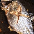 らーてぃん's cooksnap of when they made 鯛の煮付け.