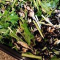 PARNELL's cooksnap of when they made ひじきと水菜の梅肉おかか和え.
