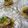 パパの手料理☆'s cooksnap of when they made しいたけ　おろしのっけ盛り♪.