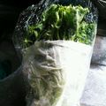 クック2CVDAM's cooksnap of when they made リーフ系レタスの長期保存。.