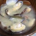amileamila's cooksnap of when they made あさりのお味噌汁.