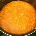 クックL8U9HI☆'s cooksnap of when they made 離乳食:中期〜万能☆トマトソース.