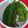 はしトモママ's cooksnap of when they made わらびのアク抜き.