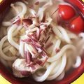 ＊リンママ＊'s cooksnap of when they made 簡単♡即席♡にんにく鶏塩冷うどん♡.