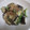 Ｋｏｚａｋｐａｄ's cooksnap of when they made ナスとピーマンのマヨネーズ炒め.