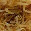 ○ω○'s cooksnap of when they made 節約!+ダイエット♪かつおもやし✿.